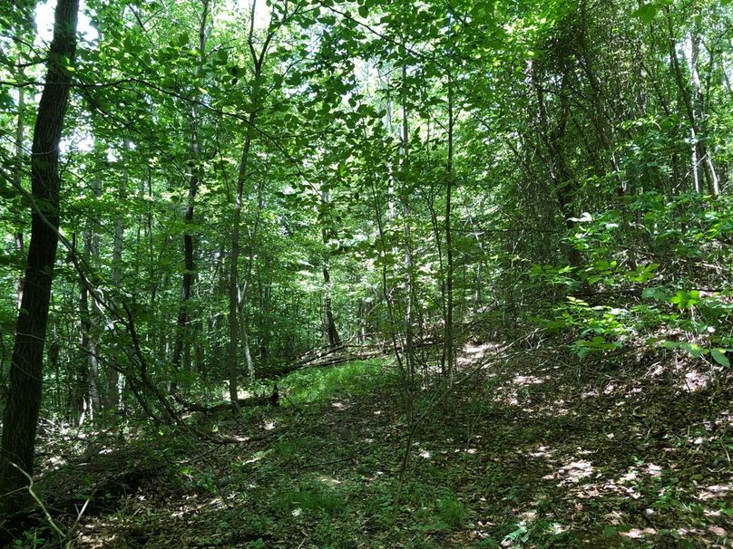 49468f83-651f-42df-8701-aba5721a3055 1 105 c