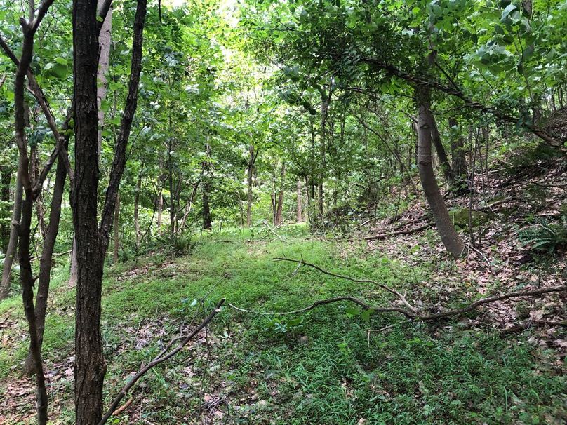 4b1bd97c-d73e-41a4-b46a-cb7050ec43f0 1 105 c