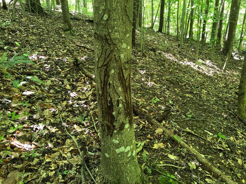 569c4565-3a7a-40bd-83f7-a0230af5eb62 1 105 c