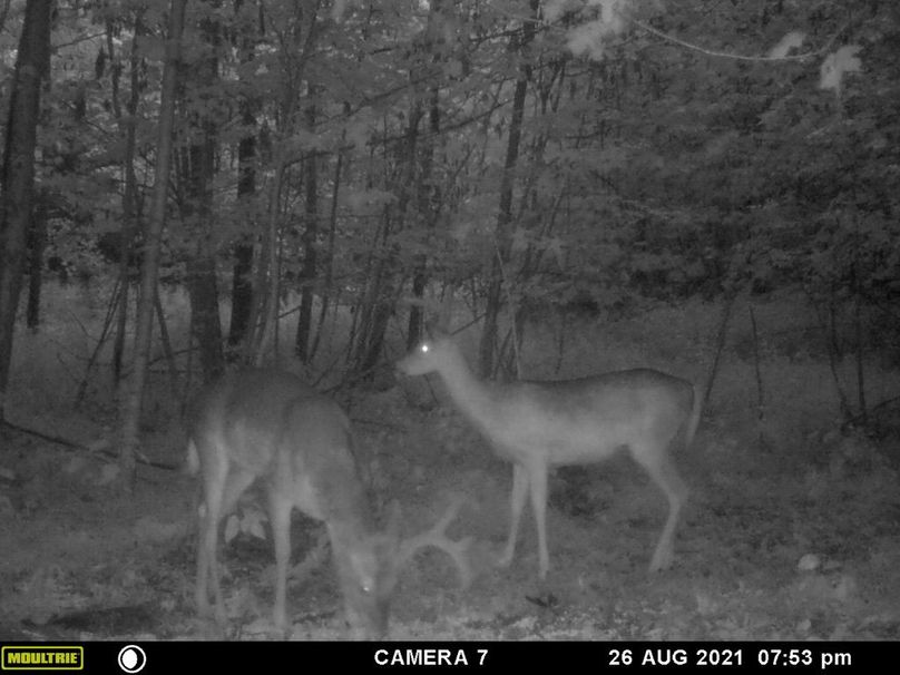 58010bd7-8d86-4112-be73-0488e25e2020 1 105 c