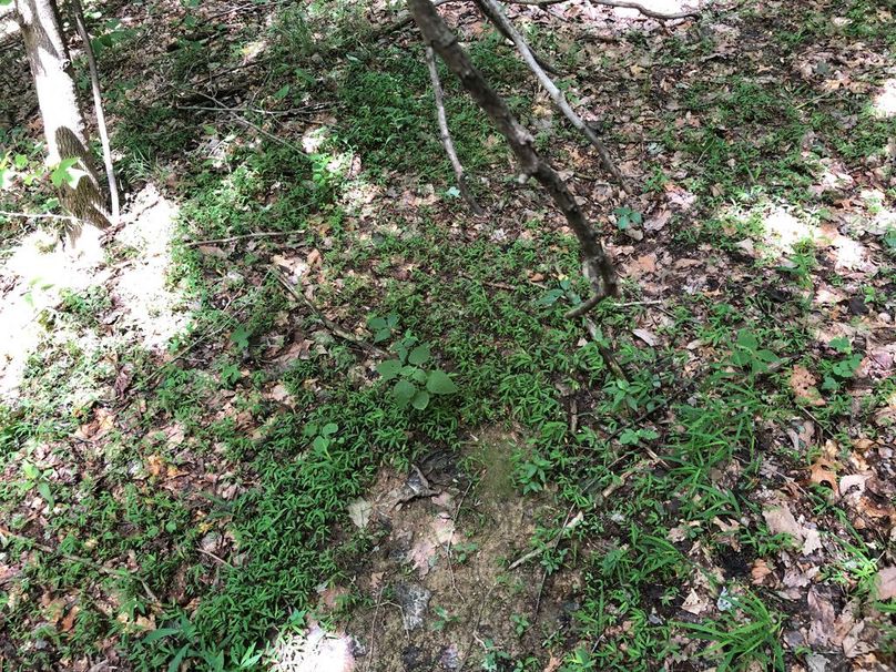 5a751444-332d-460a-8094-4e2b796a8136 1 105 c