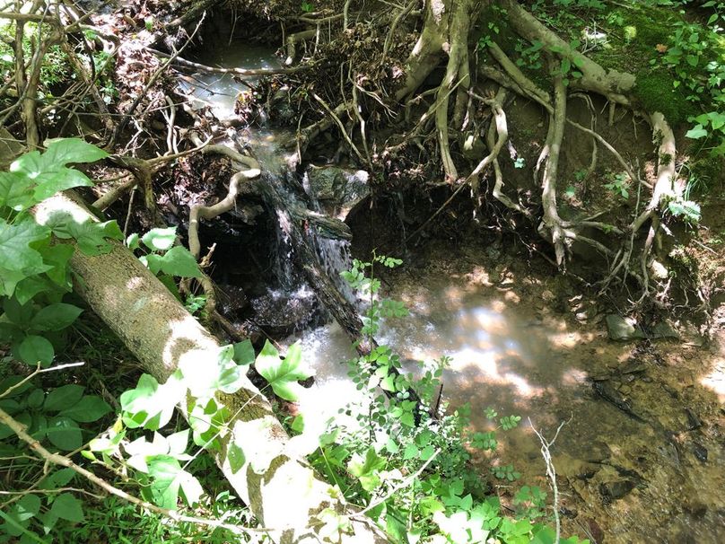 64dfc65a-4747-479c-b7ea-cc5bb90fe7b5 1 105 c