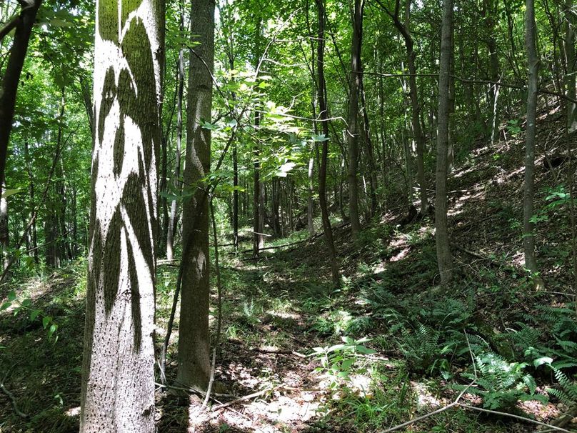 74e5997c-35c6-490e-8f27-ac50e21d30a5 1 105 c