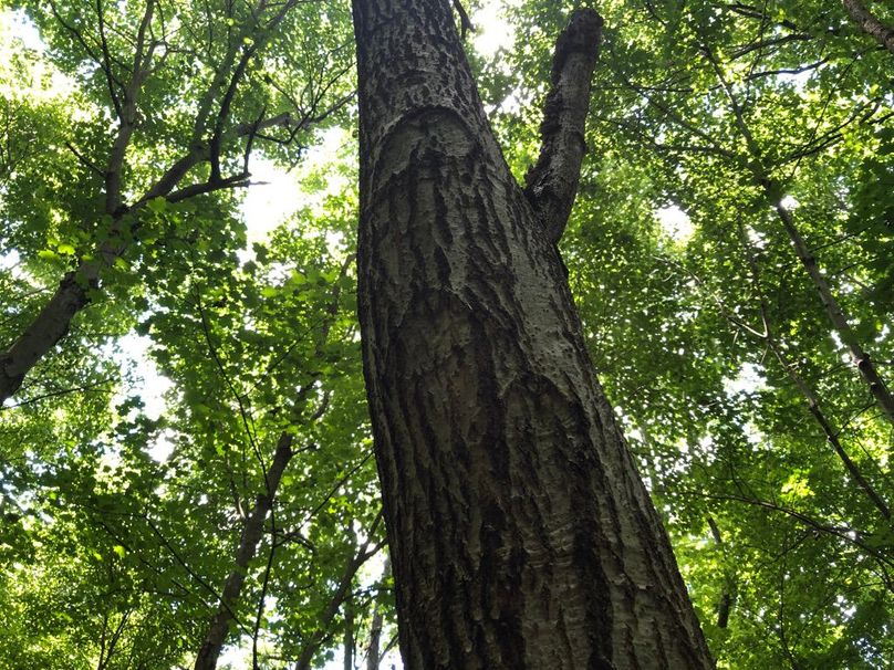 72e80b54-31dd-491c-af3d-99671855e0d5 1 105 c