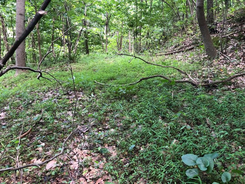 9f0aba2e-0365-42a5-87d2-31989034fc5c 1 105 c