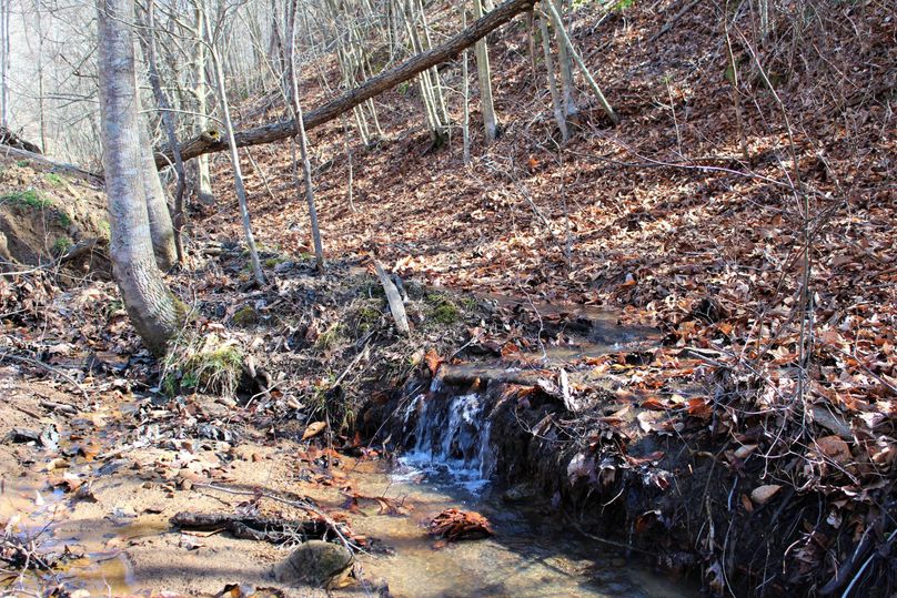 002 small seasonal stream originating on the property