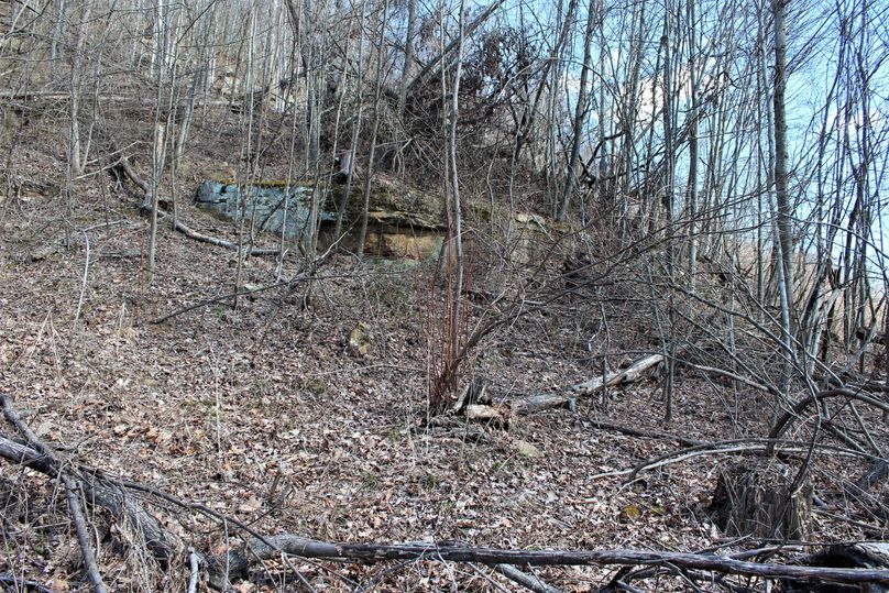 007 rock outcropping along the middle point in the center of the property