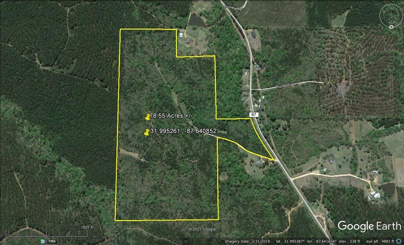 Aerial 4 approx. 78.55 acres wilcox county, al