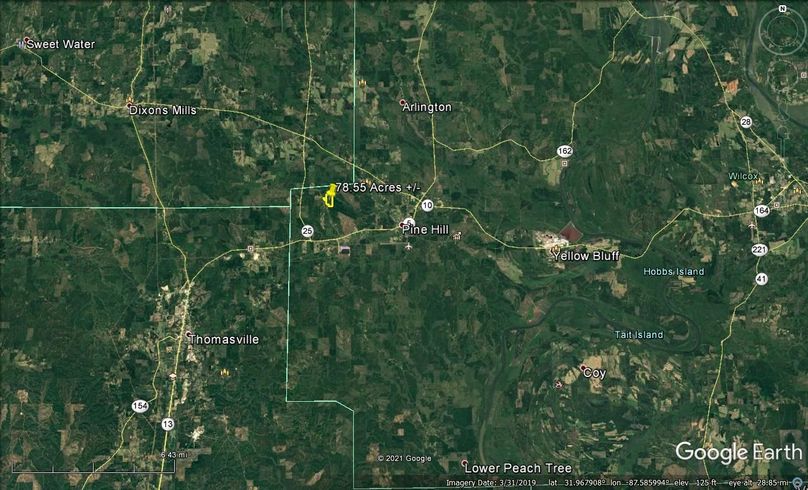 Aerial 7 approx. 78.55 acres wilcox county, al