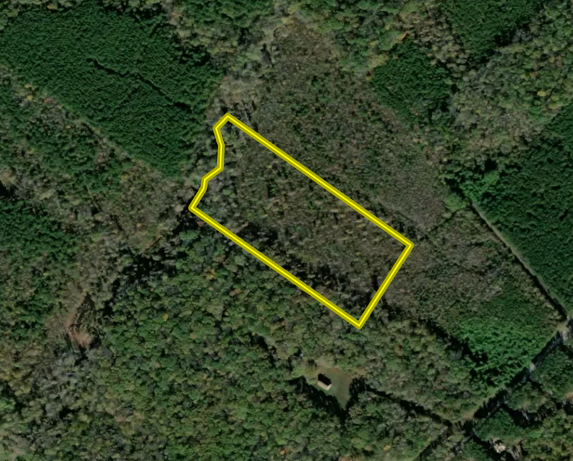 Screen shot 2021-04-04 at 10.29.51 am