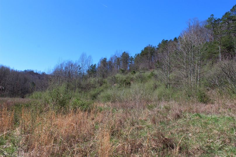 014 old field growth on a southeast facing slope near the south entrance