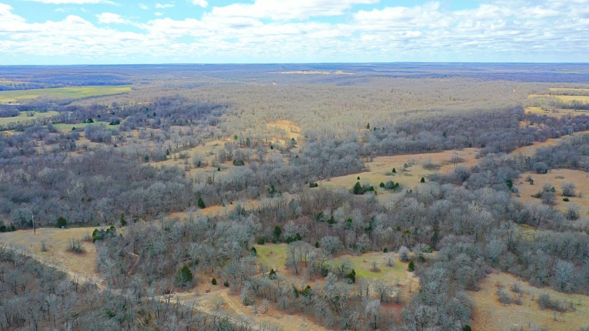 Remote GameRich Property Outside of Weleetka, OK Whitetail Properties