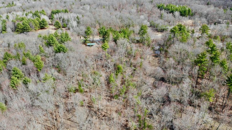 Monroe 13.29 - 14 of 22