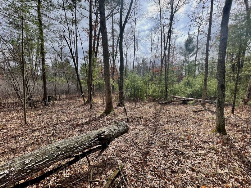 Monroe 13.29 - 15 of 22