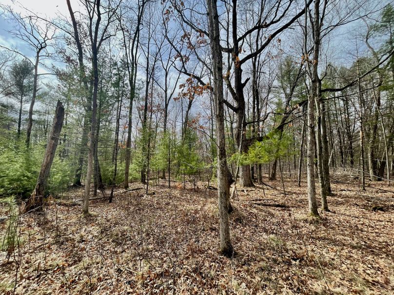 Monroe 13.29 - 16 of 22