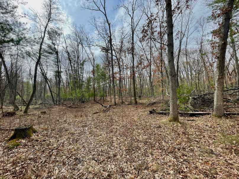 Monroe 13.29 - 17 of 22