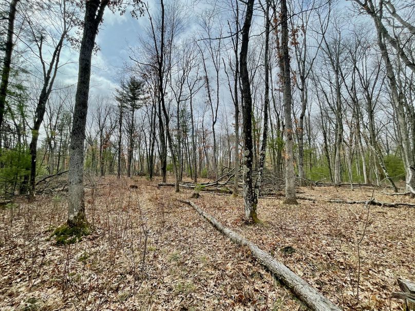 Monroe 13.29 - 18 of 22