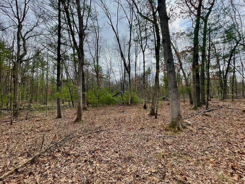 Monroe 13.29 - 19 of 22