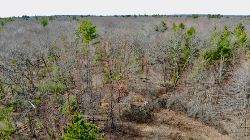 Monroe 13.29 - 11 of 22