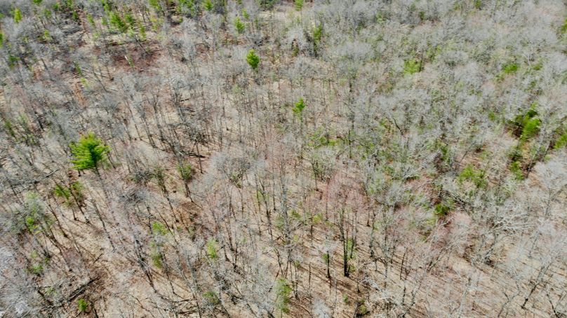 Monroe 13.29 - 13 of 22