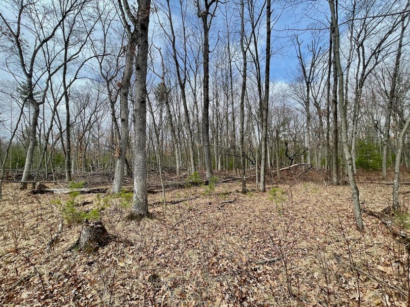 Monroe 13.29 - 20 of 22