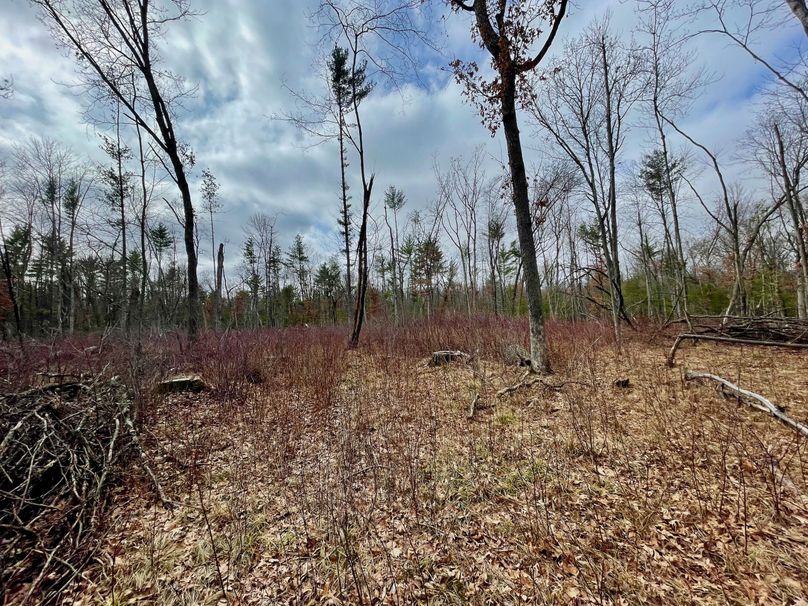 Monroe 13.29 - 21 of 22