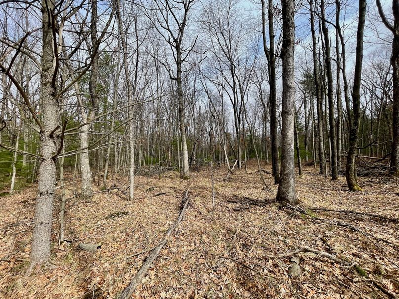 Monroe 13.29 - 22 of 22