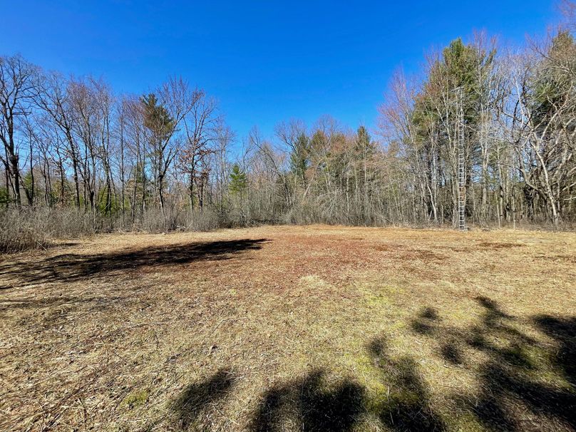 Monroe 13.29 - 4 of 22