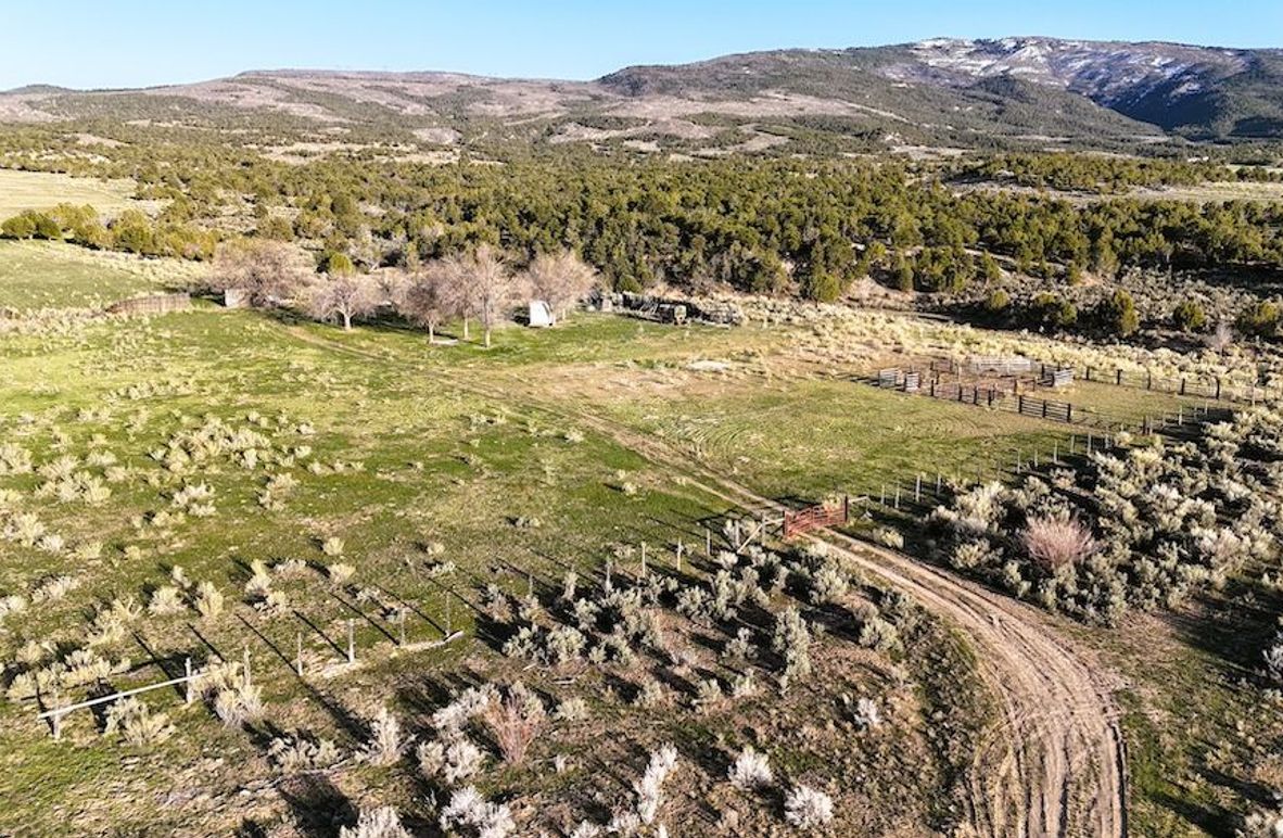 DJI_20250409185630_0003_D