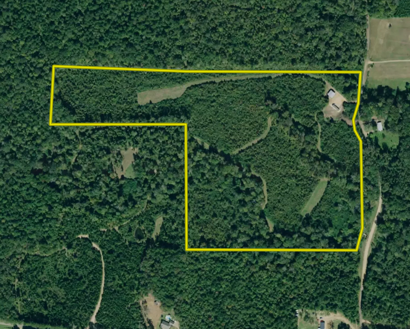 Copiah, 48 acres, aerial photo