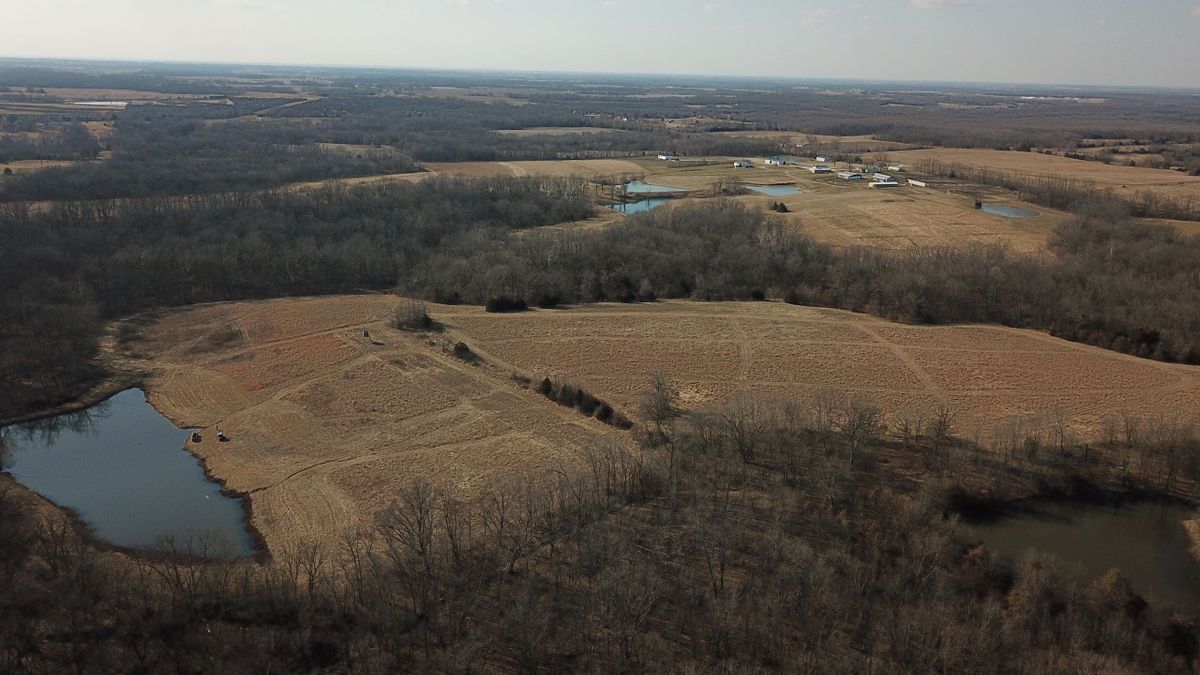 Waterfowl, Upland Game And Deer Hunting Farm For Sale Whitetail