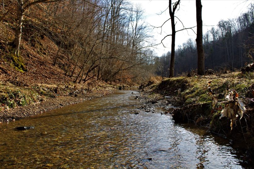 001 jaw dropping shot of lick branch along side the green fields