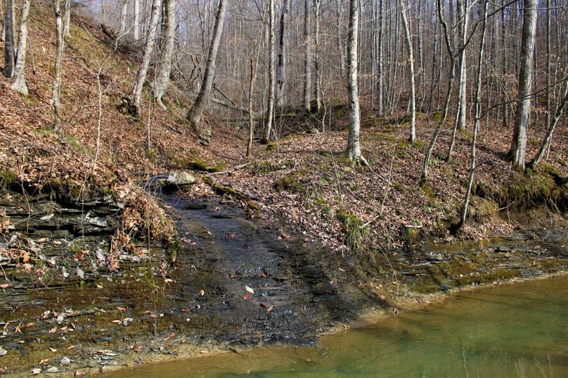 007 nice little waterfall pouring out a secondary drainage into lick branch creek