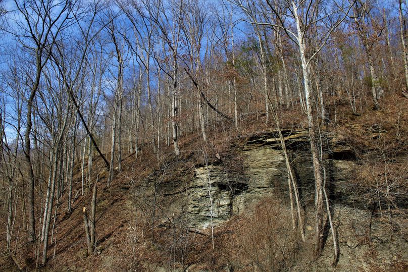006 one of a kind rock outcroppings along the field edge