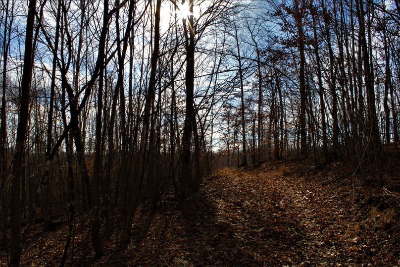 008 beautiful evening shot of the well maintained internal road system from the ridgetop