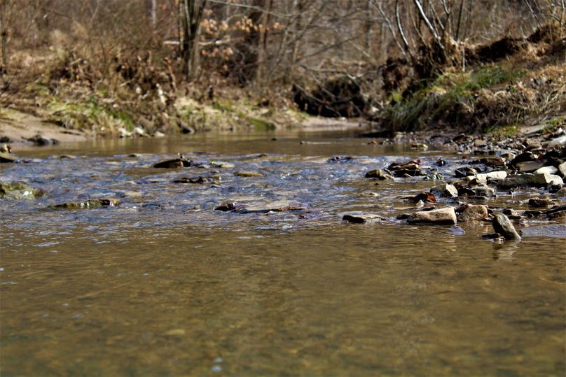 012 flowing water of lick branch through the property