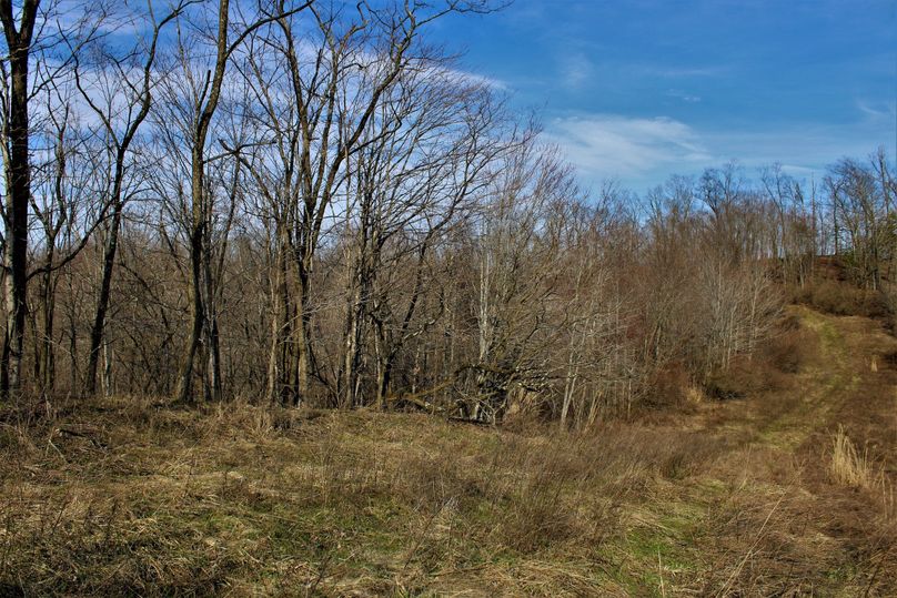 017 following the ridgetop trails going north