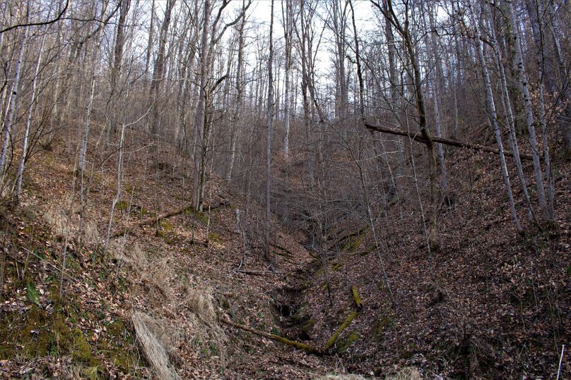 015 a nice little drain that feeds the pond