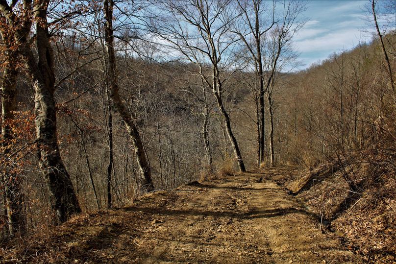 027 heading down the hill side on the well maintained internal road system