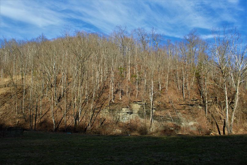 025 another bit of some nice rock outcroppings along the field and creek edge