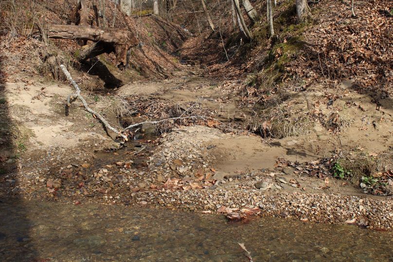 031 another drainage feeding lick branch