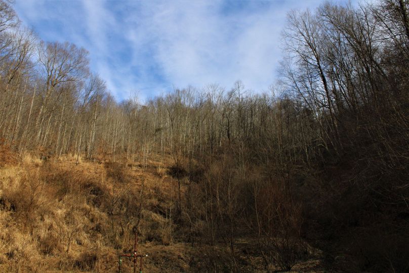 034 lookin up the small valley above the pond