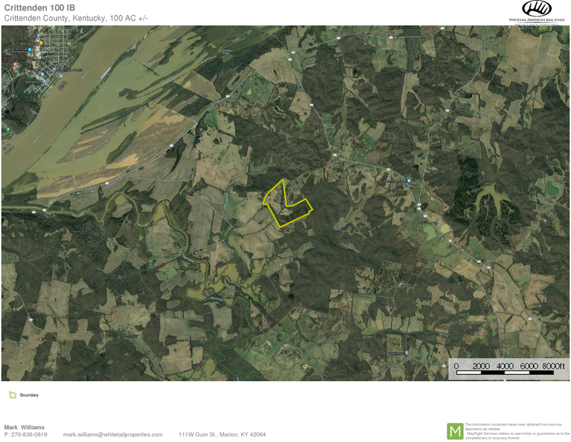 Crittenden 100 airplane