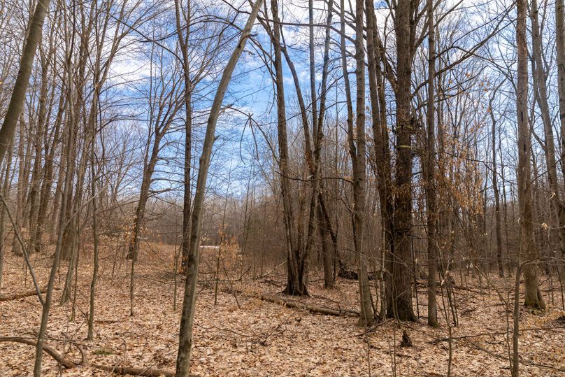 17 treestand near food plot