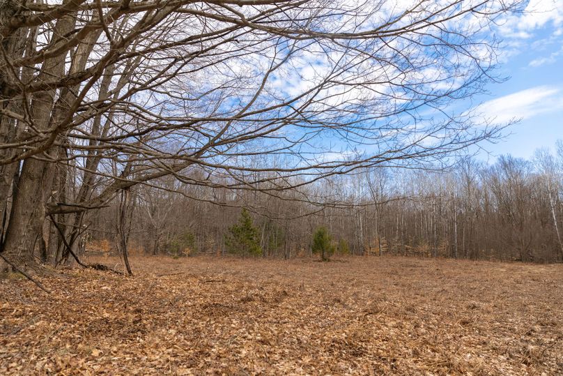 10 large opening could become destination plot