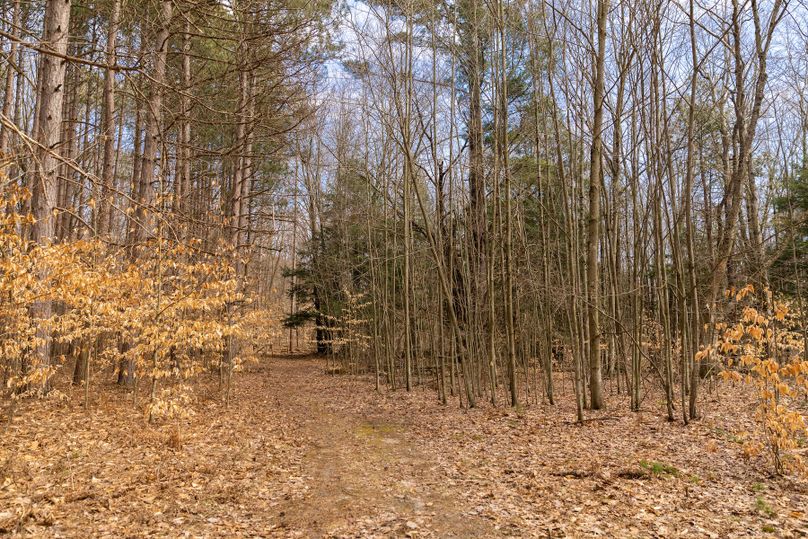 1 secluded northern michigan acreage