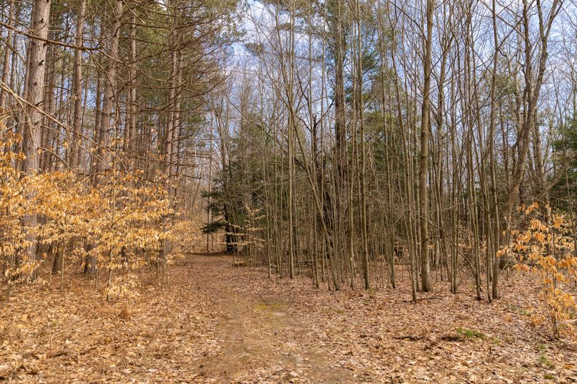 1 secluded northern michigan acreage