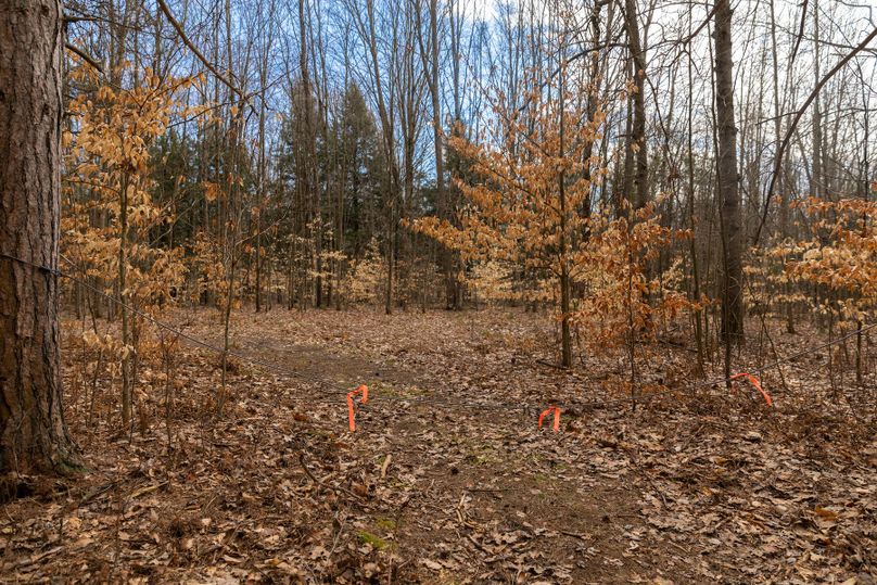 20 northern access gate