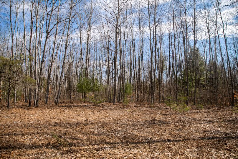 5 cleared campsite near southwest access