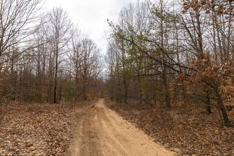 6 well maintained access